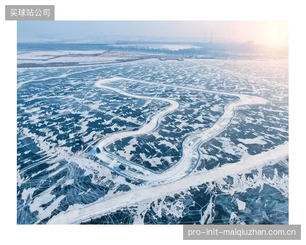 水质控制的终极目标已非纯净度,而是通过离子调控主动“设计”冰面力学特性 水质控制的终极目标已非纯净度,而是通过离子调控主动“设计”冰面力学特性